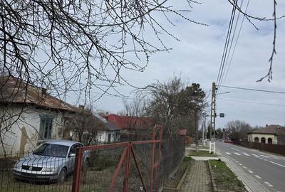 Teren de 24333 mp, în Albești - 3