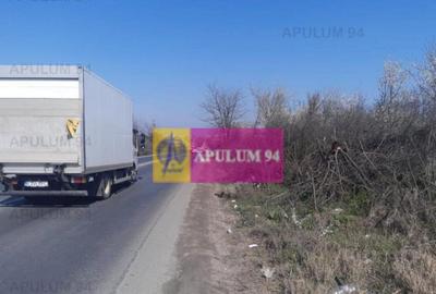 Teren de 4800 mp, în Glina - 8