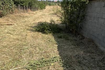 Spațiu comercial, în Albești - 4