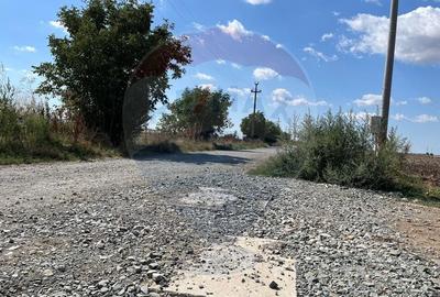 De vanzare teren intravilan 4000 mp deschidere 150 m Fundulea - 8
