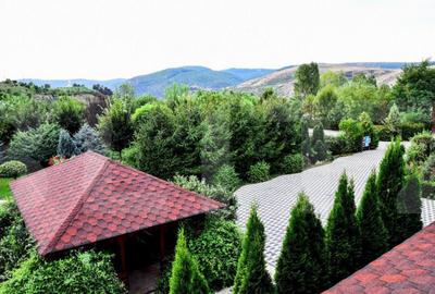 Proprietate HORECA cu sala de evenimente moderna, intr-o oaz - 1