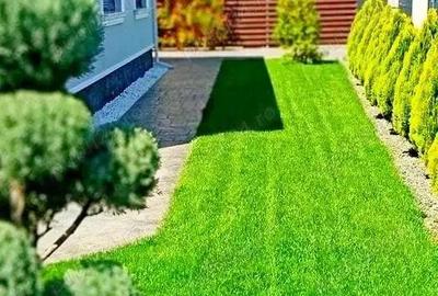 Sacalaz - casa de vanzare - 15