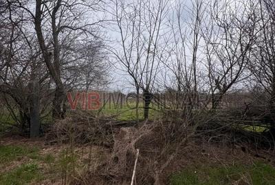 Teren intravilan de 423 mp, în Jilava - 7