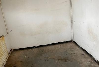 Spatiu comercial-Fost Magazin Casa Lebada, Sos. Bucium 23 - 10