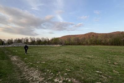 Teren de 5022 mp, în Măliniș - 1