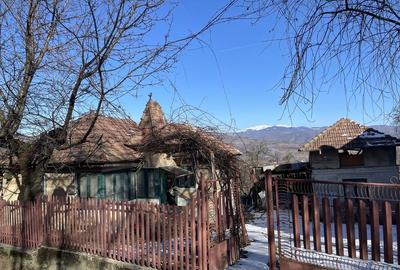 Casă cu 3 camere în Văleni-Dâmbovița - 5