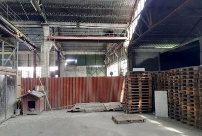 Spațiu comercial, de 5,000 mp, în Pantelimon - 2