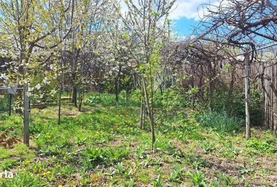 Casă cu 3 camere în CFR - 2