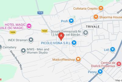 Garsonieră decomandată în Trivale - 9