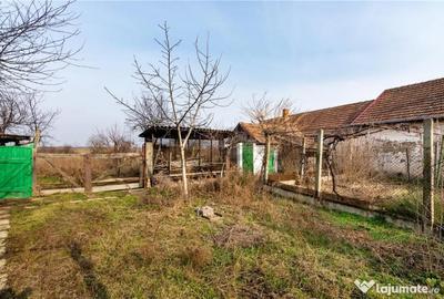 Casă cu 2 camere cu Teren 3036 Mp în Borș - 18
