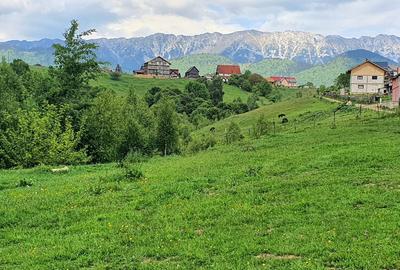 Teren pentru casa de vacanta , Pestera , Brasov - 11