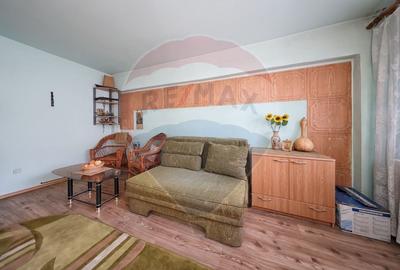 Apartament decomandat de vanzare in zona Tractorul - 14