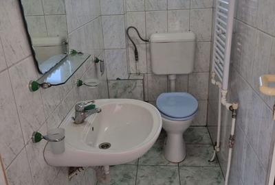 Casă cu 4 camere cu Teren 1202 Mp în Băcia - 10