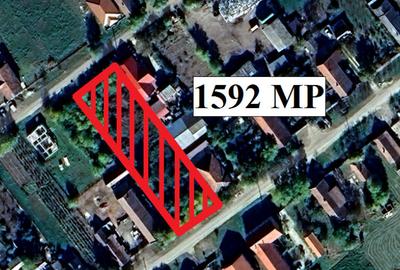 Teren 1592 MP in Satu Mare jud. Arad - ID : RH-43652-property - 3