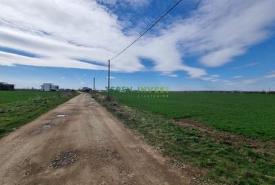 Teren Construcții intravilan de 10000 mp, în Săftica - 3