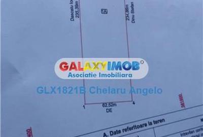 Teren intravilan de 14700 mp, în Copăceni - 5