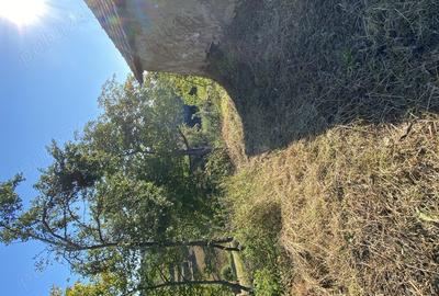 Casa + teren Certeju de Jos, Comuna Vorta ( Hunedoara) - 5