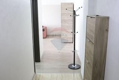 Apartament cu 1 camere decomandat în Burdujeni - 19