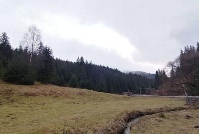 Teren de 10238 mp, în Central - 6