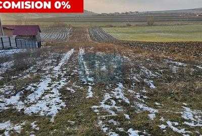 Teren de 4300 mp, în Gâdinți - 2