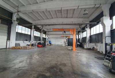 Hala 600 mp, 4,50 euro/mp - 1