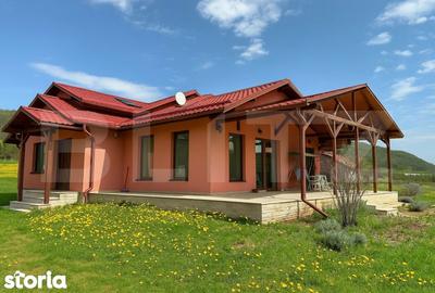 Casă cu 6 camere cu Teren 3000 Mp în Central - 10
