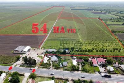 Oportunitate vie 54 ha la DN E85