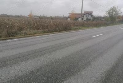 Teren de 3700 mp, în Săcueni - 3