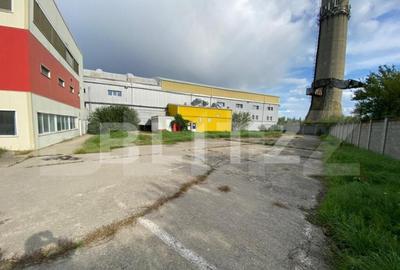 Hala+birouri, 15533mp utili, teren 21323mp, Freidorf - 7