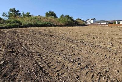 Spațiu comercial, în Vișan - 5