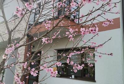 Casă cu 4 camere cu Canalizare în Sânpetru - 1