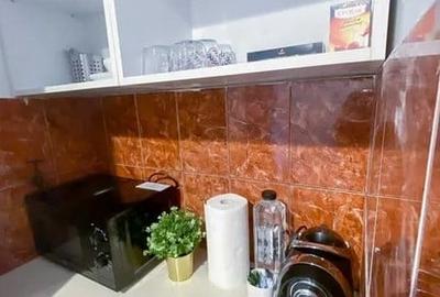 Garsonieră semidecomandată, mobilată în Splaiul Independenței - 3