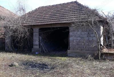 Casa + anexe + teren 4.4hectare (arabil, fine?e si padure) in Valioara - 5