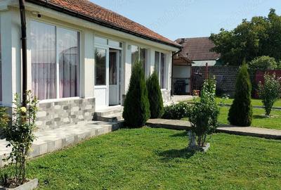 Casă cu 4 camere cu Teren 1200 Mp în Obreja - 10