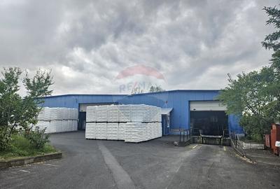 Spa?iu industrial de vanzare - 8