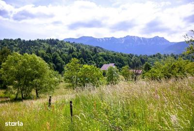 Spațiu comercial, în Șimon - 1