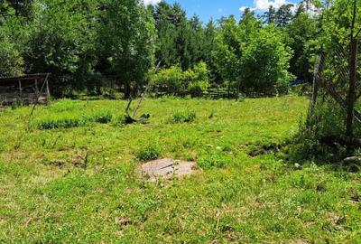 Teren de 4900 mp, în Central - 2