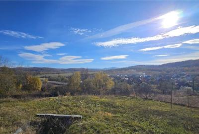 Rezidenta noua, oportunitate personalizare, peste 1.500mp, P - 11