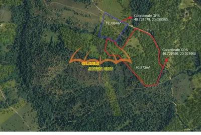 Teren de vanzare extravilan Calatele Padure 12.084m2 - 1