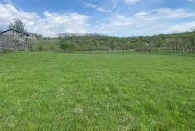 Teren de 6000 mp, în Sălciua Nouă - 3