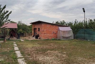 Casă cu 5 camere cu Teren 1400 Mp în Jebel - 3