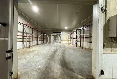 Spațiu industrial, de 4,000 mp, în Central - 16