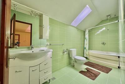 Casǎ Individualǎ/Pensiune/Turism - Ocna Sibiului - 1546 mp teren - 20