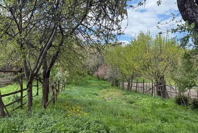 Casă cu 3 camere cu Teren 2093 Mp în Pianu - 9