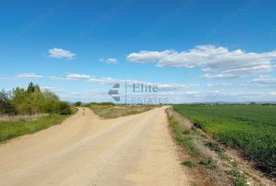 Teren de 6450 mp, în Oșorhei - 2