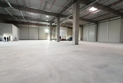 Spatii logistice Bacau - 2