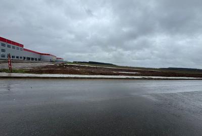 Teren de 4100 mp, în Dragomirești-Deal - 2