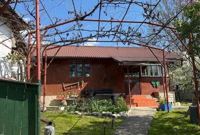 Casă cu 4 camere cu Teren 4000 Mp în Valea Popii (Mihăești) - 4
