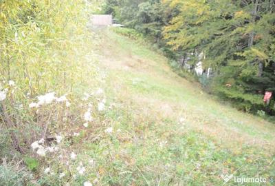 Teren de 1300 mp, în Valea Alba - 3