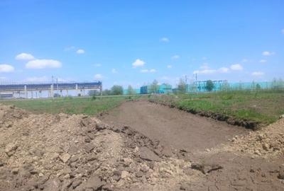 Teren în Micălaca - 2